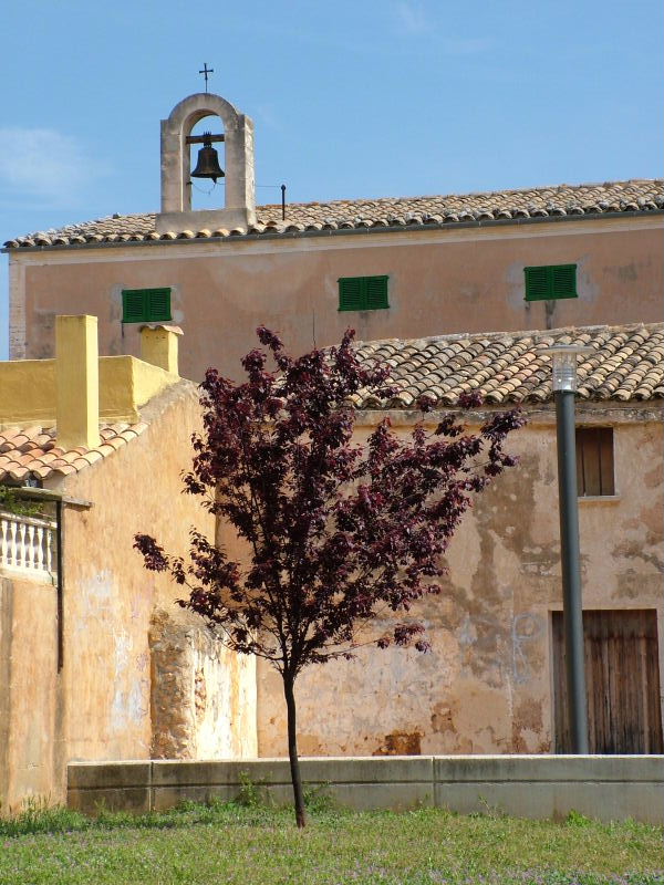 Foto de Mallorca (Illes Balears), España