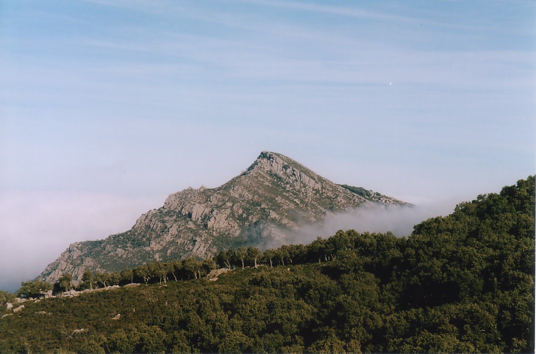 Foto de Alcalá de los Gazules (Cádiz), España