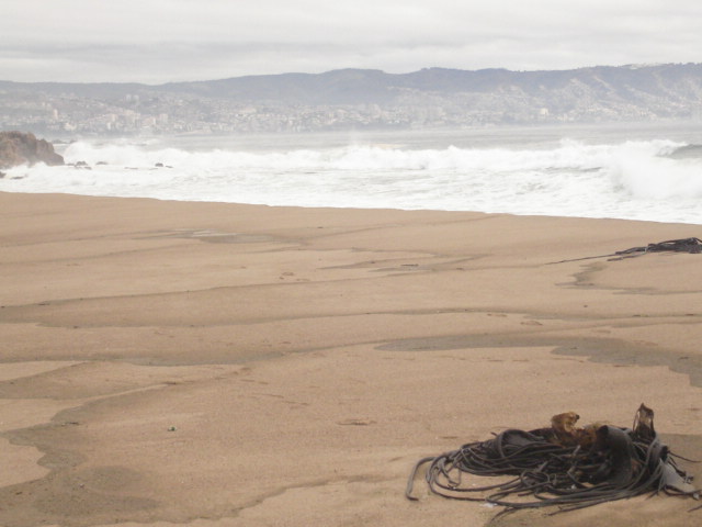 Foto de VIÑA DEL MAR, Chile