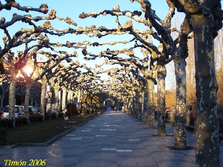 Foto de Burgos (Castilla y León), España