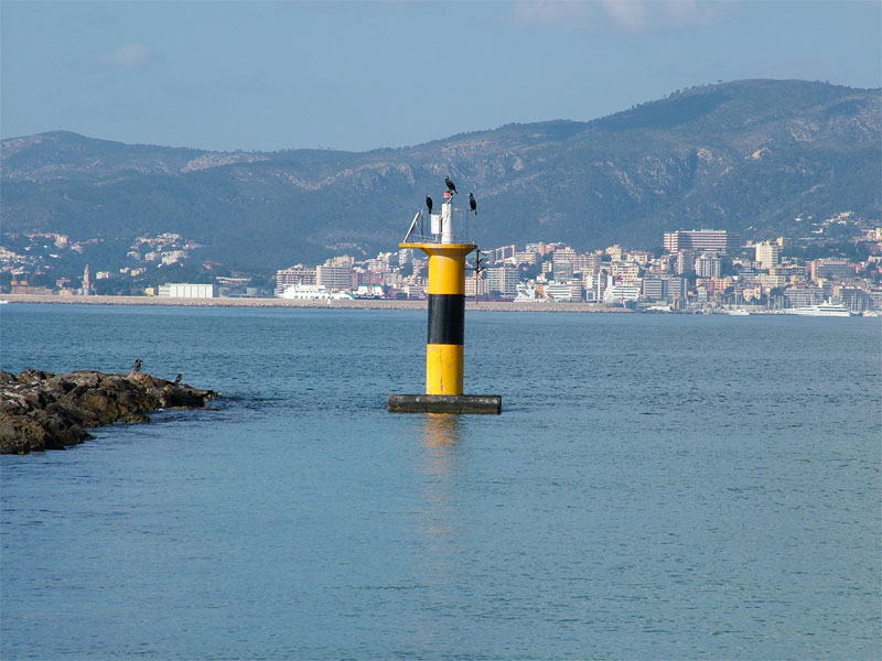 Foto de Palma de Mallorca (Illes Balears), España