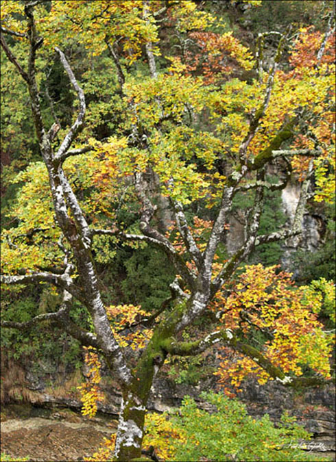Foto de Escalona (Huesca), España