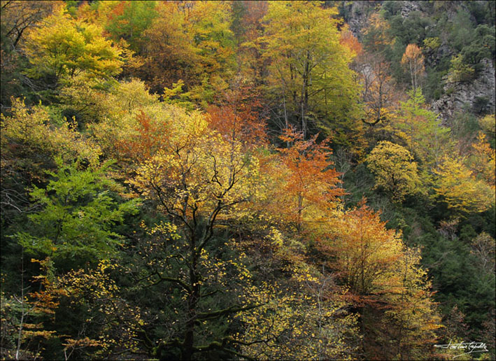 Foto de Escalona (Huesca), España