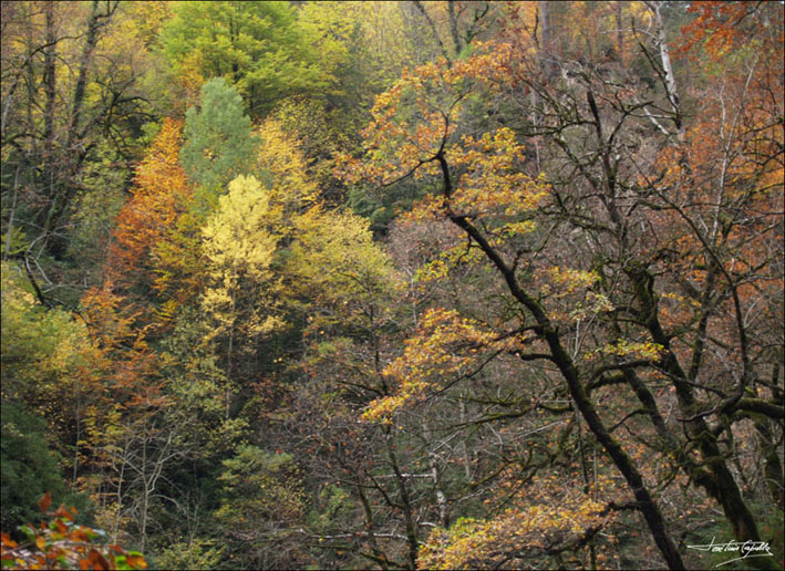 Foto de Escalona (Huesca), España