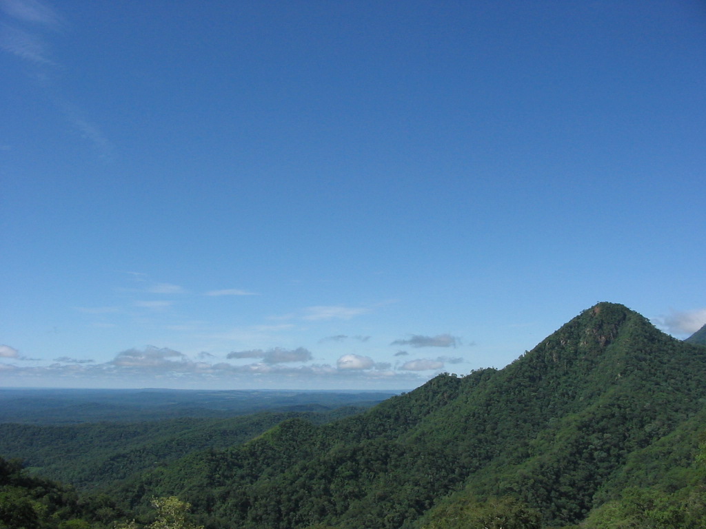 Foto de Gran Chaco, Bolivia