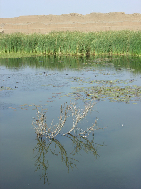 Foto de Chan Chan, Perú