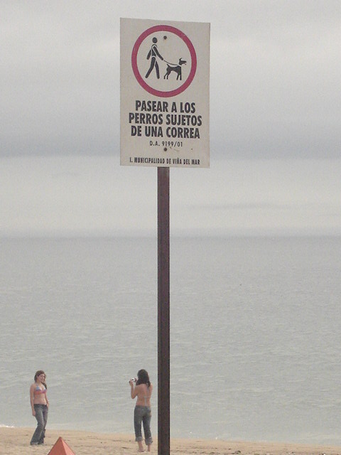 Foto de VIÑA DEL MAR, Chile