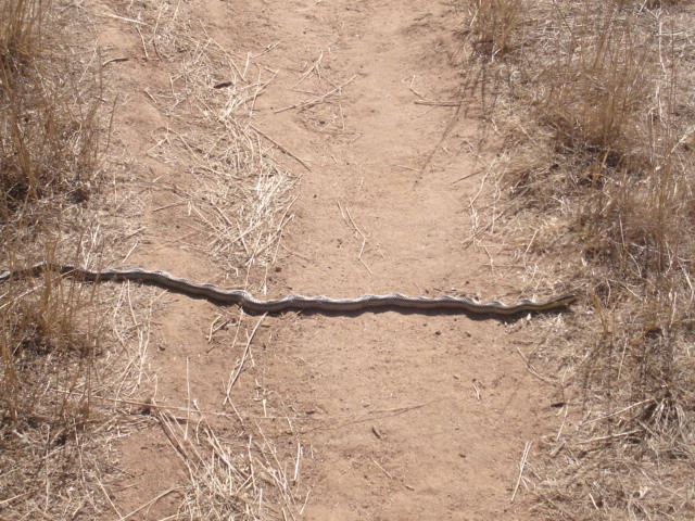 Foto de VILLA ALEMANA, Chile