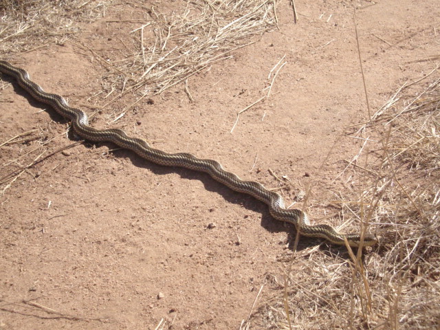 Foto de VILLA ALEMANA, Chile