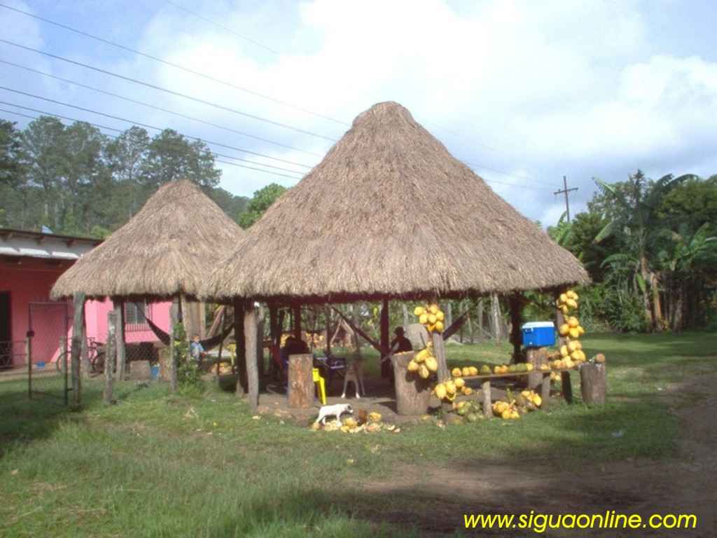 Foto de Yojoa, Cortés, Honduras