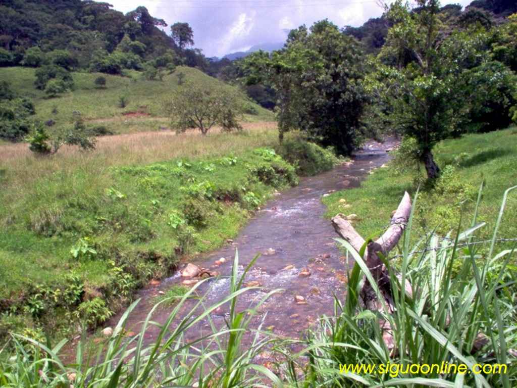Foto de Yojoa, Cortés., Honduras