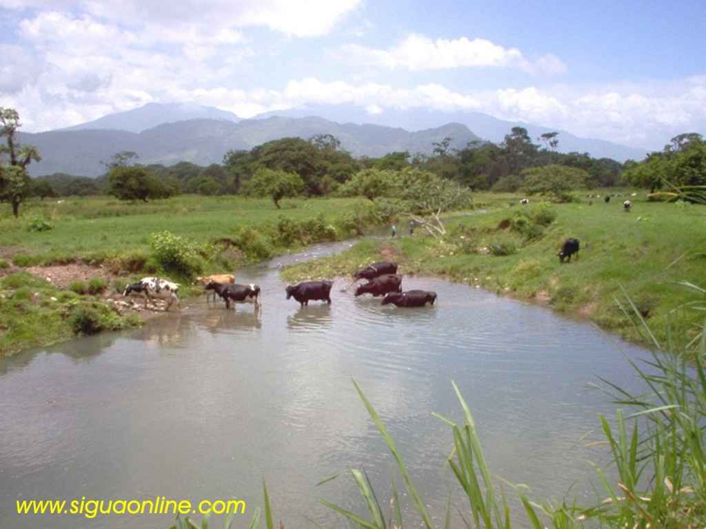 Foto de Yojoa, Cortés, Honduras