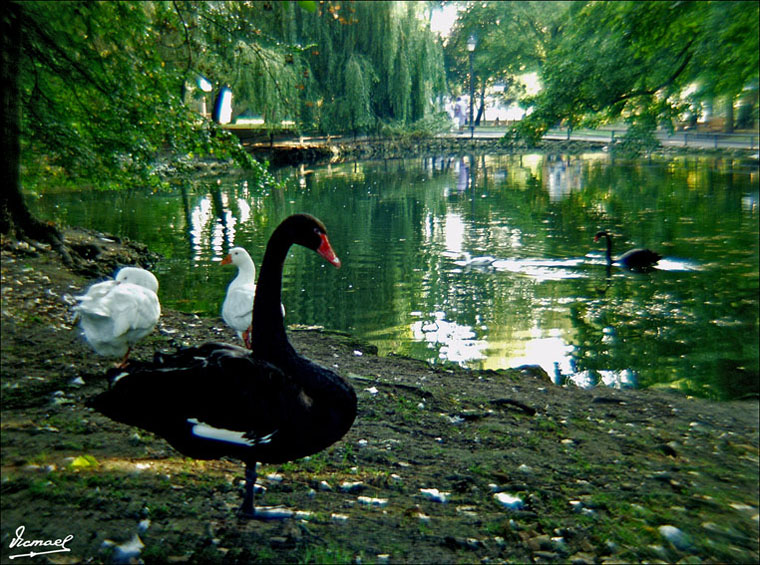 Foto de Avilés (Asturias), España