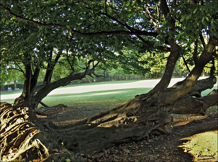 Foto de Avilés (Asturias), España