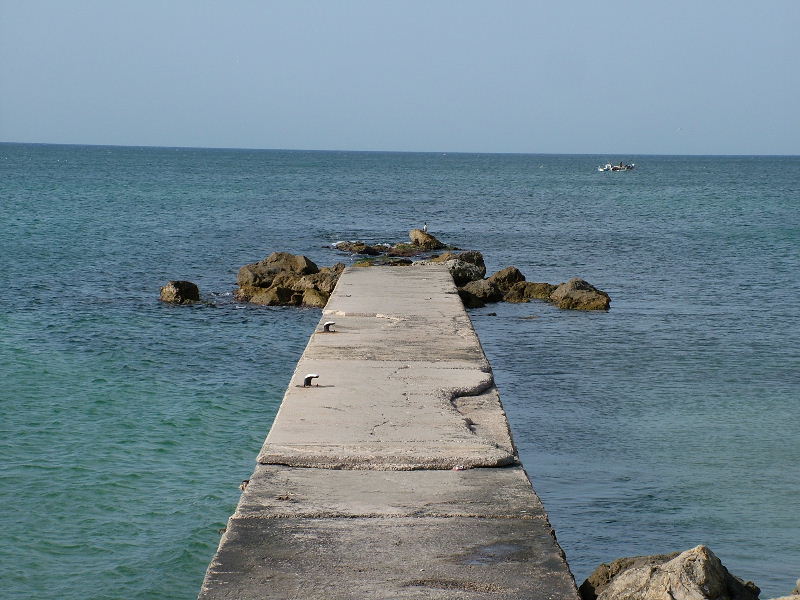 Foto de Palma de Mallorca (Illes Balears), España