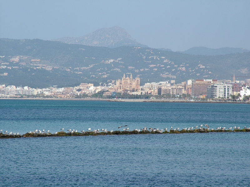 Foto de Palma de Mallorca (Illes Balears), España