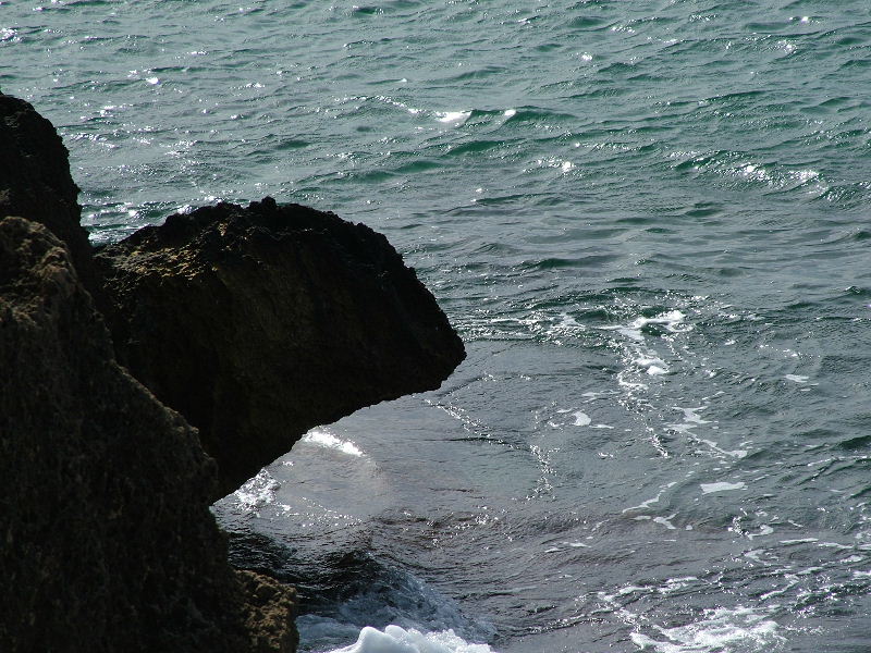 Foto de Palma de Mallorca (Illes Balears), España