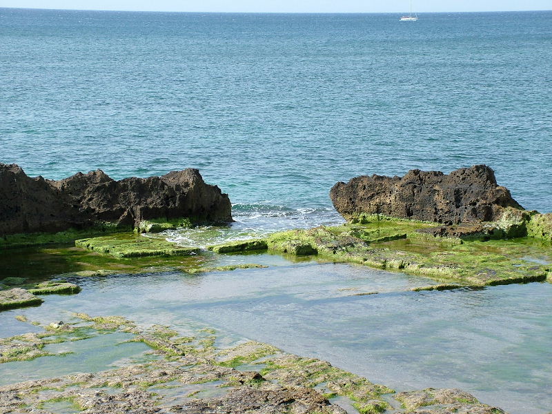Foto de Palma de Mallorca (Illes Balears), España