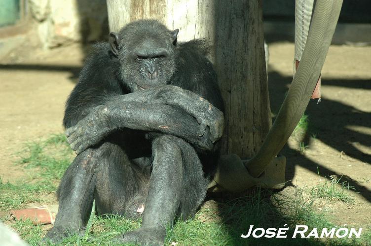 Foto de Jerez  de la Frontera (Cádiz), España
