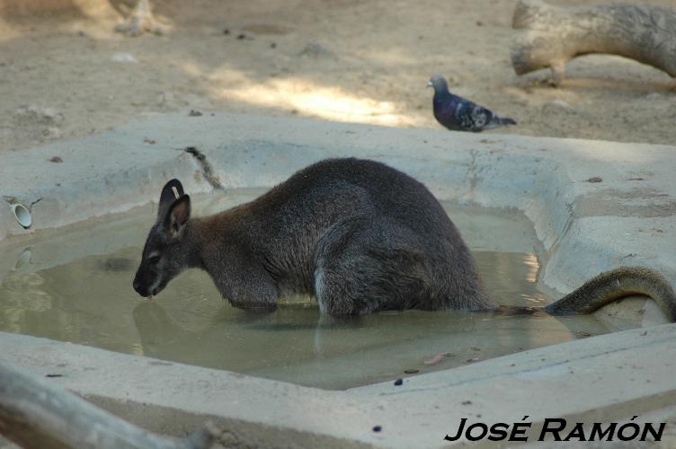 Foto de Jerez  de la Frontera (Cádiz), España