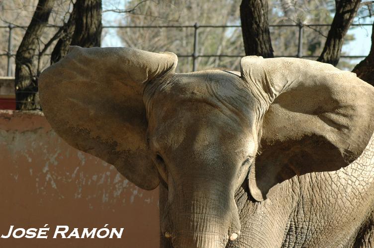 Foto de Jerez  de la Frontera (Cádiz), España