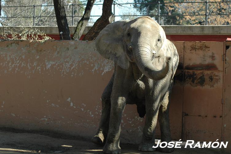 Foto de Jerez  de la Frontera (Cádiz), España