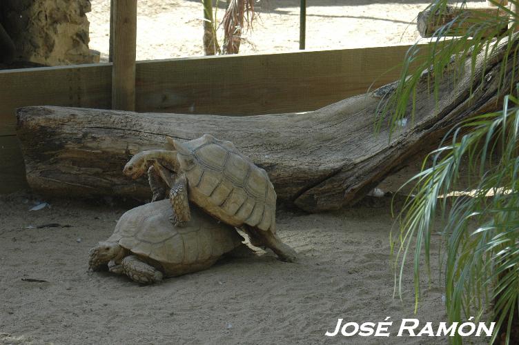 Foto de Jerez  de la Frontera (Cádiz), España