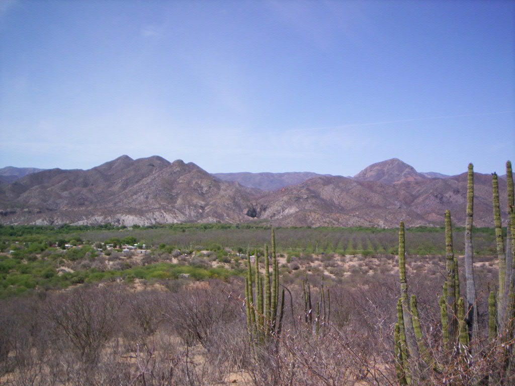 Foto de La capilla de Baviacora, sonora., México