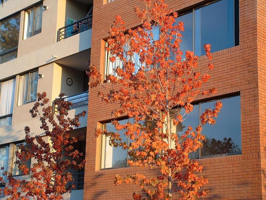 Foto de Santiago., Chile