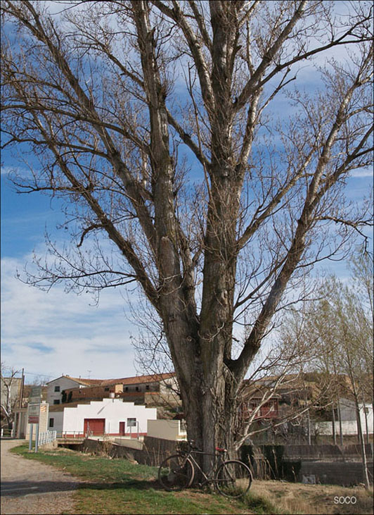 Foto de Pueyo de Fañanás (Huesca), España