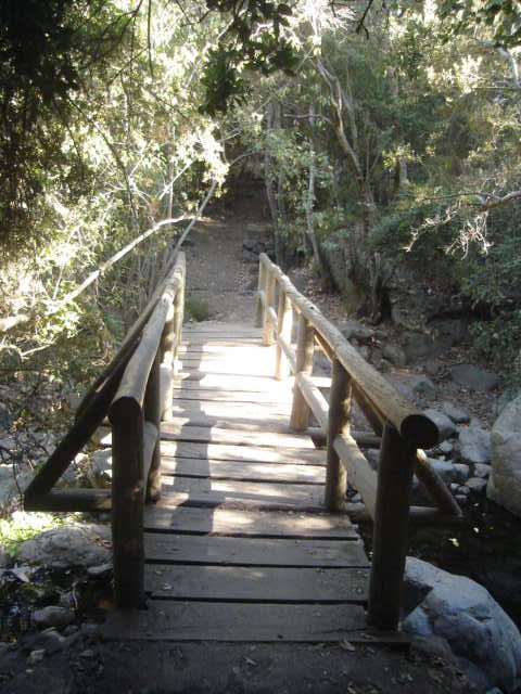 Foto de OLMUE, Chile