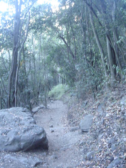 Foto de OLMUE, Chile