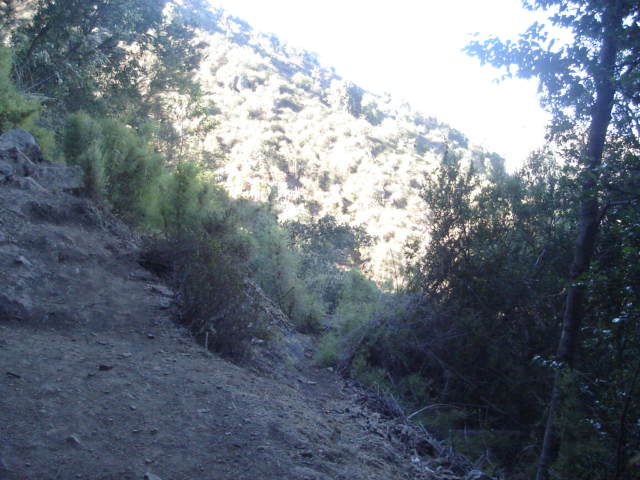 Foto de OLMUE, Chile