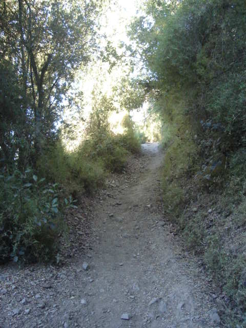 Foto de OLMUE, Chile