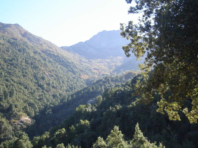 Foto de OLMUE, Chile