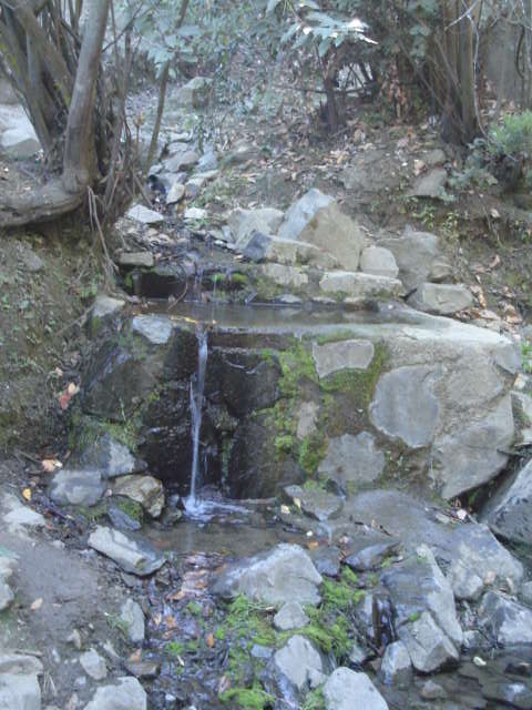 Foto de OLMUE, Chile