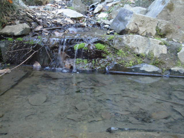 Foto de OLMUE, Chile