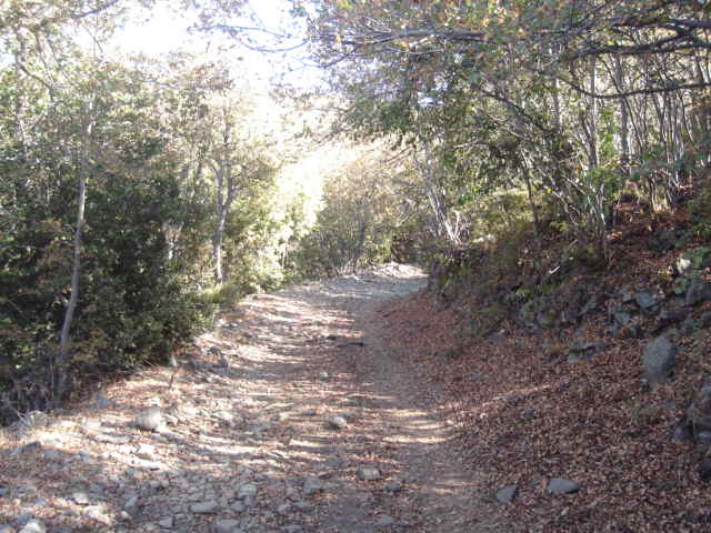 Foto de OLMUE, Chile