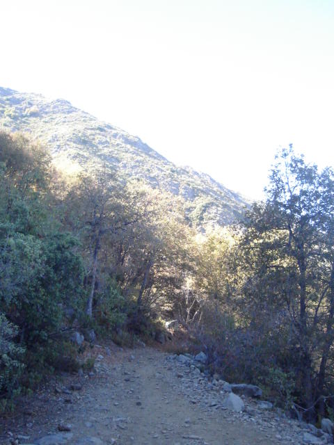 Foto de OLMUE, Chile