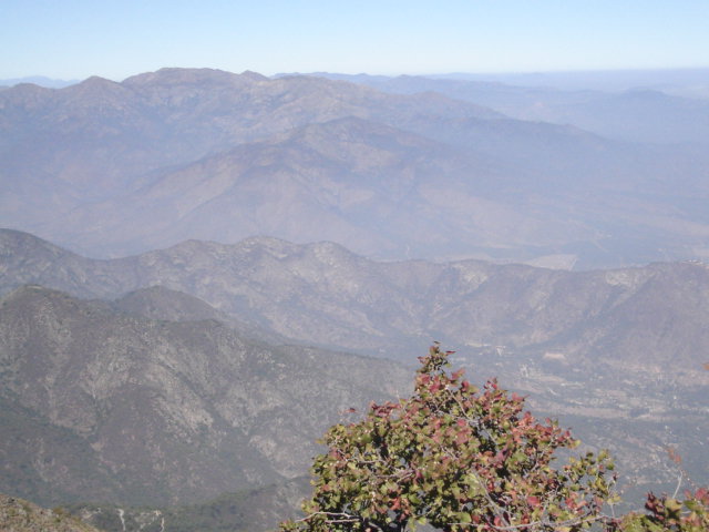 Foto de OLMUE, Chile