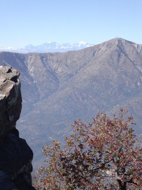 Foto de OLMUE, Chile