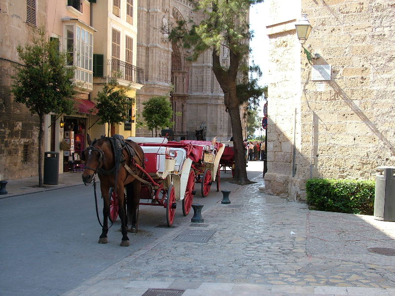 Foto de Palma de Mallorca (Illes Balears), España