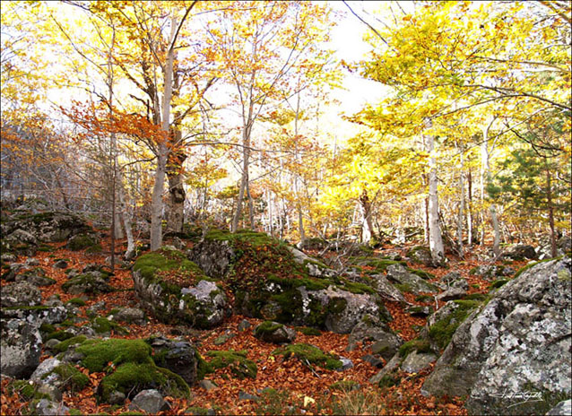 Foto de Tarazona (Zaragoza), España