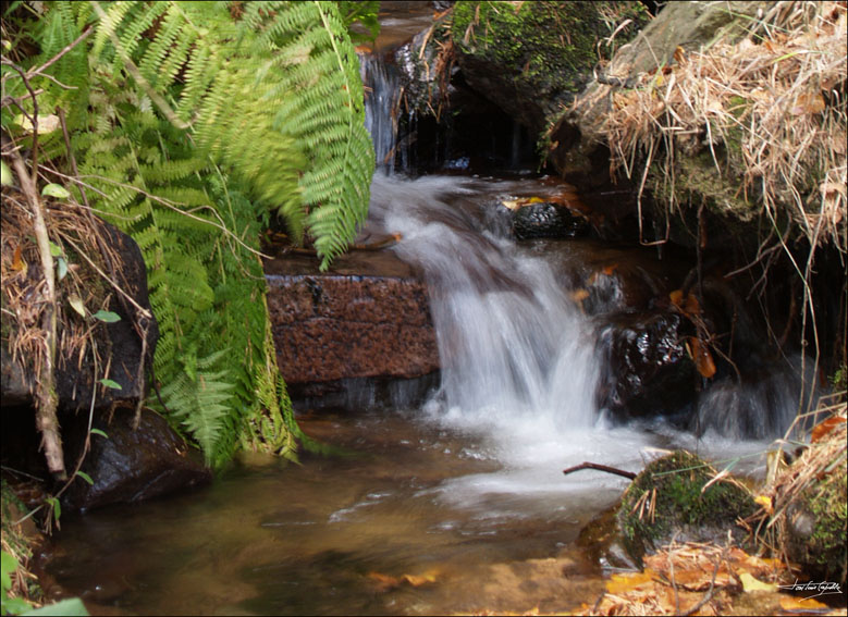 Foto de Tarazona (Zaragoza), España