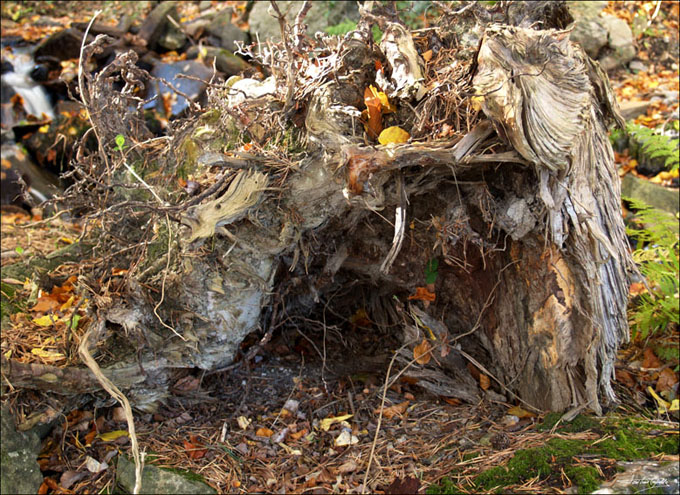 Foto de Tarazona (Zaragoza), España