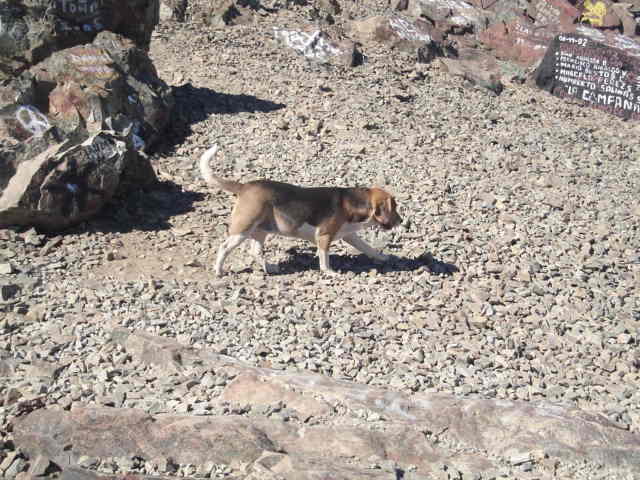 Foto de OLMUE, Chile