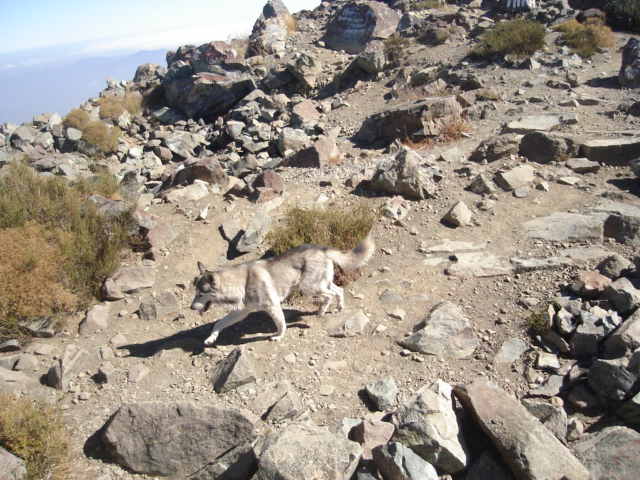 Foto de OLMUE, Chile