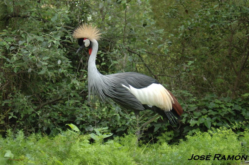 Foto de Jerez  de la Frontera (Cádiz), España