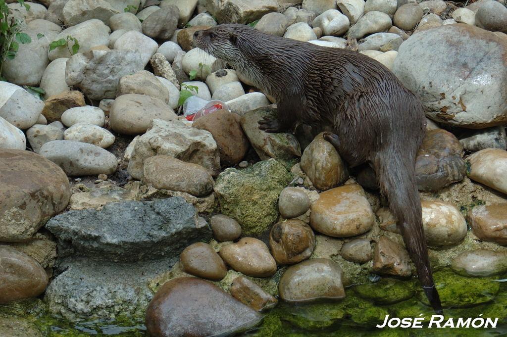 Foto de Jerez  de la Frontera (Cádiz), España