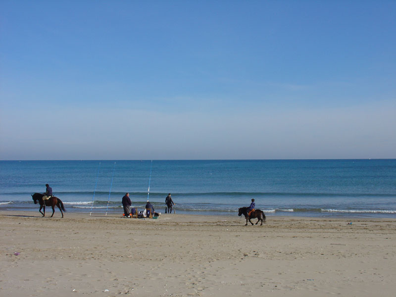Foto de Sueca (València), España